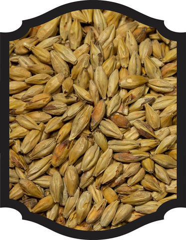 Abbey Malt - Weyermann 1OZ - Grain To Glass Inc