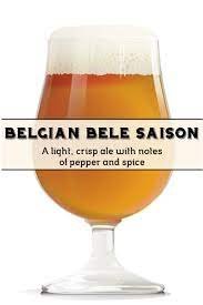 Belgian Belle Saison - Grain To Glass All Grain Beer Kit - Grain To Glass Inc