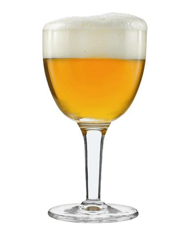 Berliner Weisse - Grain To Glass All Grain Beer Kit - Grain To Glass Inc