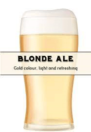 Blonde Ale - Grain To Glass All Grain Beer Kit - Grain To Glass Inc