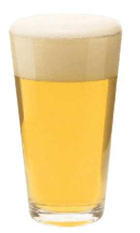 Dual Hop Blonde Ale - Grain To Glass All Grain Beer Kit - Grain To Glass Inc