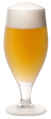 Gose - Grain To Glass All Grain Beer Kit - Grain To Glass Inc