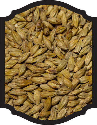 Honey Malt - Gambrinus 1OZ - Grain To Glass Inc