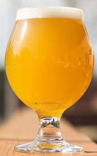 Julius NEIPA - Grain To Glass Partial Mash Beer Recipe Kit - Grain To Glass Inc