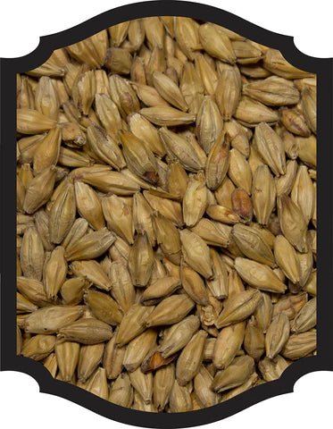 Munich Type II (Dark) Malt - Weyermann 1LB - Grain To Glass Inc