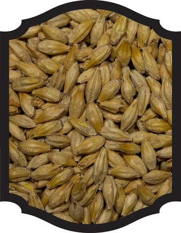 Pilsner Malt (German) - Best Malz 1LB - Grain To Glass Inc