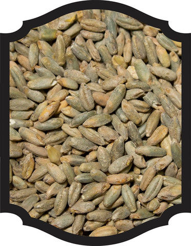 Rye Malt - CMC 1LB - Grain To Glass Inc