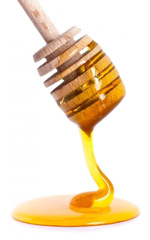 Clover Honey 10LB (Unpasteurized) - Grain To Glass Inc