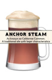 Anchor Steam (California Common) - Grain To Glass All Grain Beer Kit - Grain To Glass Inc