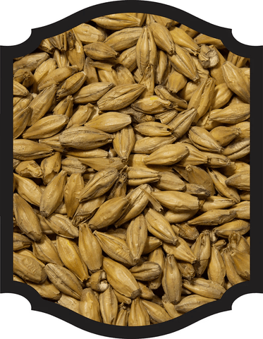 Beech Smoked Barley Malt - Weyermann 1LB - Grain To Glass Inc
