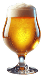 Belgian Blonde Ale - Grain To Glass All Grain Beer Kit - Grain To Glass Inc