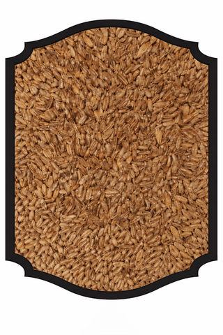 Cararye Malt (Crystal Rye) - Weyermann 1OZ - Grain To Glass Inc