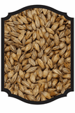 Chit Malt - Crisp 1LB - Grain To Glass Inc
