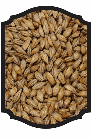 Chit Malt - Crisp 1LB - Grain To Glass Inc