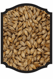 Chit Malt - Crisp 1oz - Grain To Glass Inc