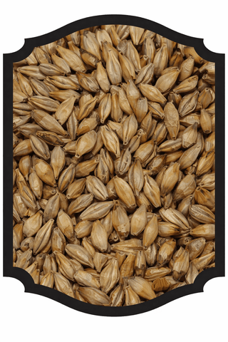 Chit Malt - Crisp 1oz - Grain To Glass Inc