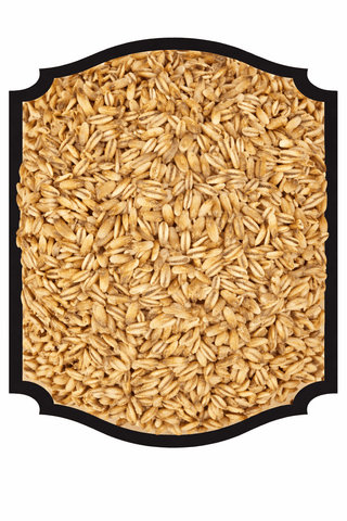 Golden Naked Oats - Simpsons 1LB - Grain To Glass Inc