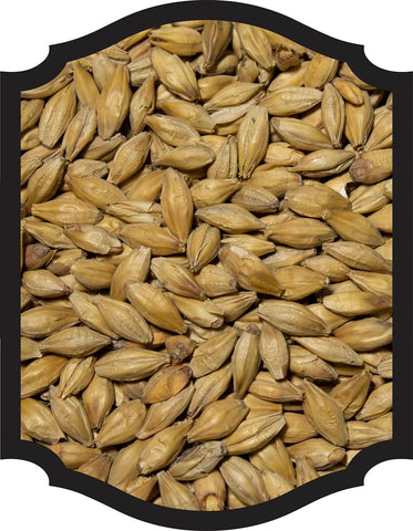 Golden Promise - TF&S 1oz - Grain To Glass Inc