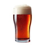 Maibock - Grain To Glass All Grain Beer Kit - Grain To Glass Inc