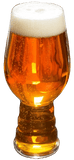 Nectaron IPA - Grain To Glass All Grain Beer Kit - Grain To Glass Inc