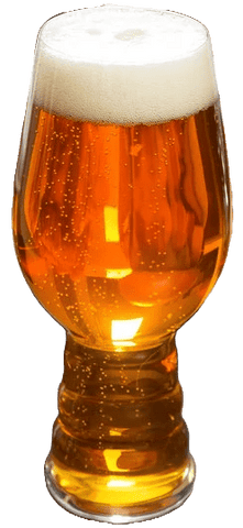 Nectaron IPA - Grain To Glass All Grain Beer Kit - Grain To Glass Inc