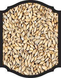 Peated Malt - Thomas Fawcett 1LB - Grain To Glass Inc