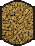 Pilsner Malt - Dacotah Malt (Canadian) 1oz - Grain To Glass Inc