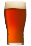 Prairie Pale Ale - Grain To Glass All Grain Beer Kit - Includes Local Canadian Hops - Grain To Glass Inc