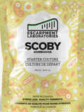 scoby.png