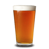 Undead IPA - Grain To Glass All Grain Beer Kit - Grain To Glass Inc