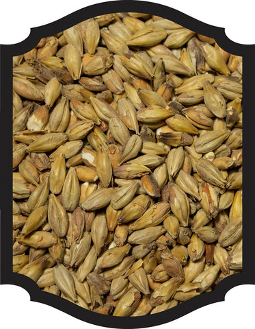Victory Malt - Briess 1LB - Grain To Glass Inc