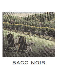 Baco Noir - Peel and Stick Wine Label - Grain To Glass Inc