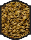 Caramalt (Carastan) - Simpsons 1LB - Grain To Glass Inc
