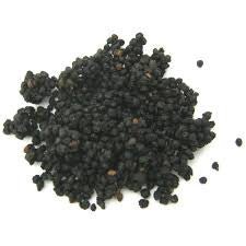Elderberries 50g - Grain To Glass Inc