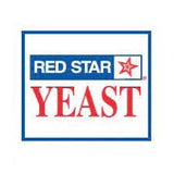 Red Star DADY Yeast 8oz - Grain To Glass Inc